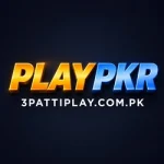 playpkr game official logo-3pattiplay.com.pk
